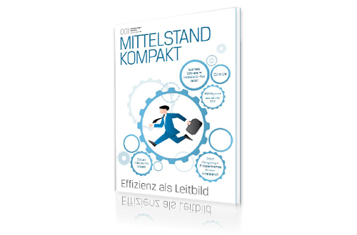 Effizienz als Leitbild